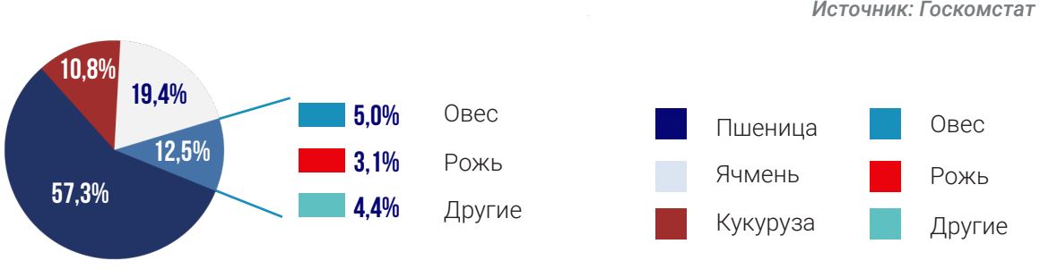 Структура производства зерна в 2014 году